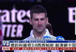 德约科维奇24个大满贯冠军明细 德约科维奇24个大满贯冠军明细